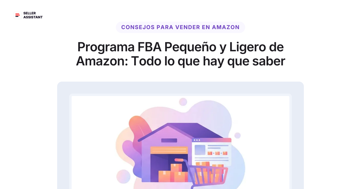 Programa FBA Pequeño y Ligero de Amazon: Todo lo que hay que saber en ...